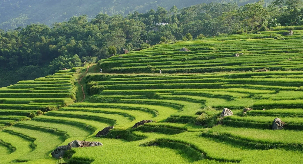 PU LUONG & MAI CHAU