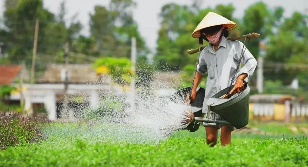TIMELESS CENTRAL VIETNAM