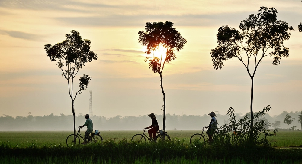 Cycling The Mekong Delta