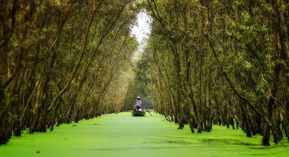 Cycling The Mekong Delta