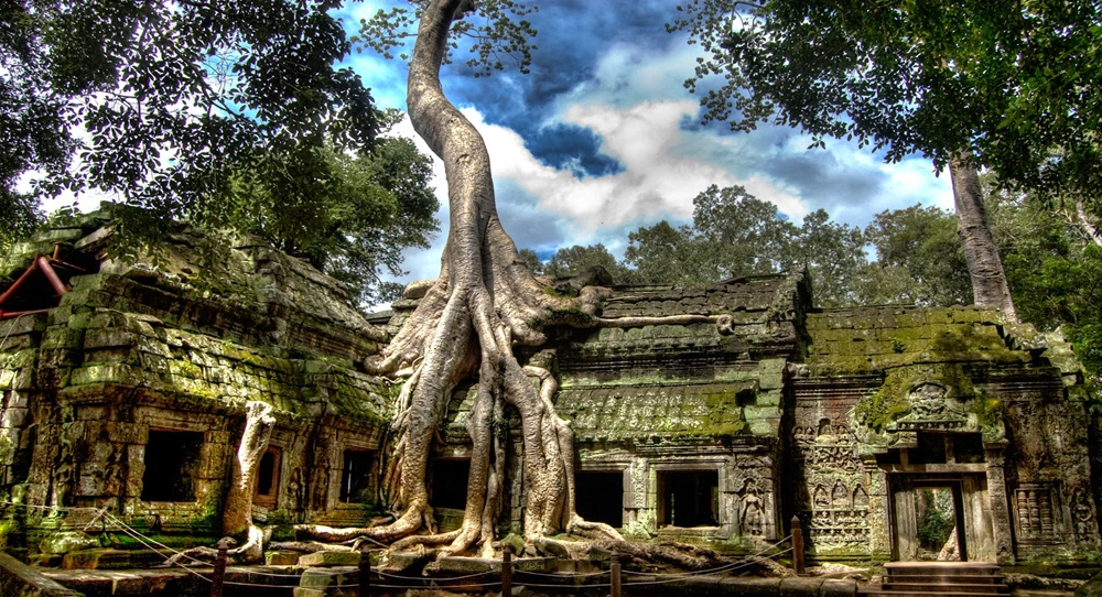 Essential Cambodia