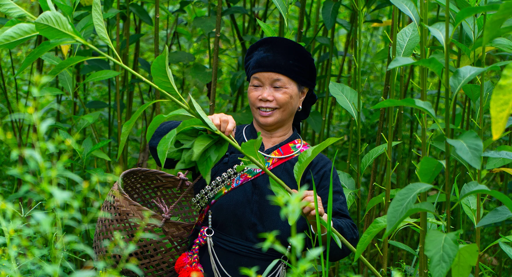 THAI HAI VILLAGE
