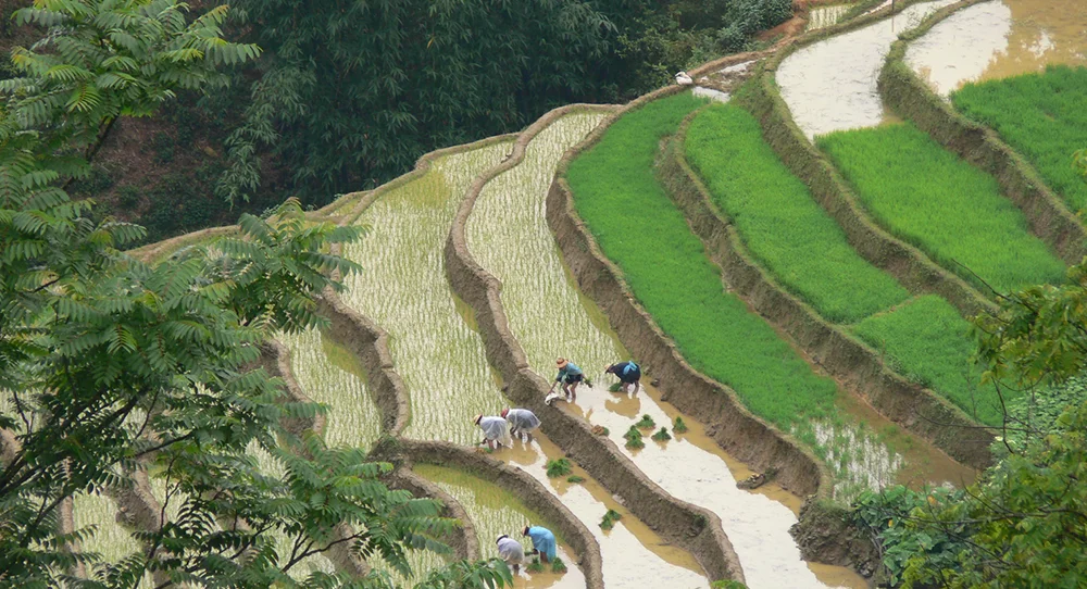 VIETNAM ADVENTURE