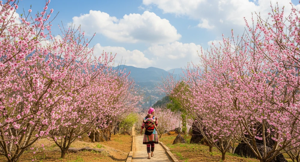 SAPA - A SHORT ESCAPE