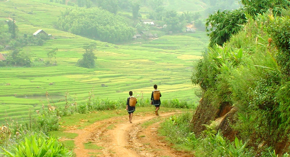 SAPA - A SHORT ESCAPE