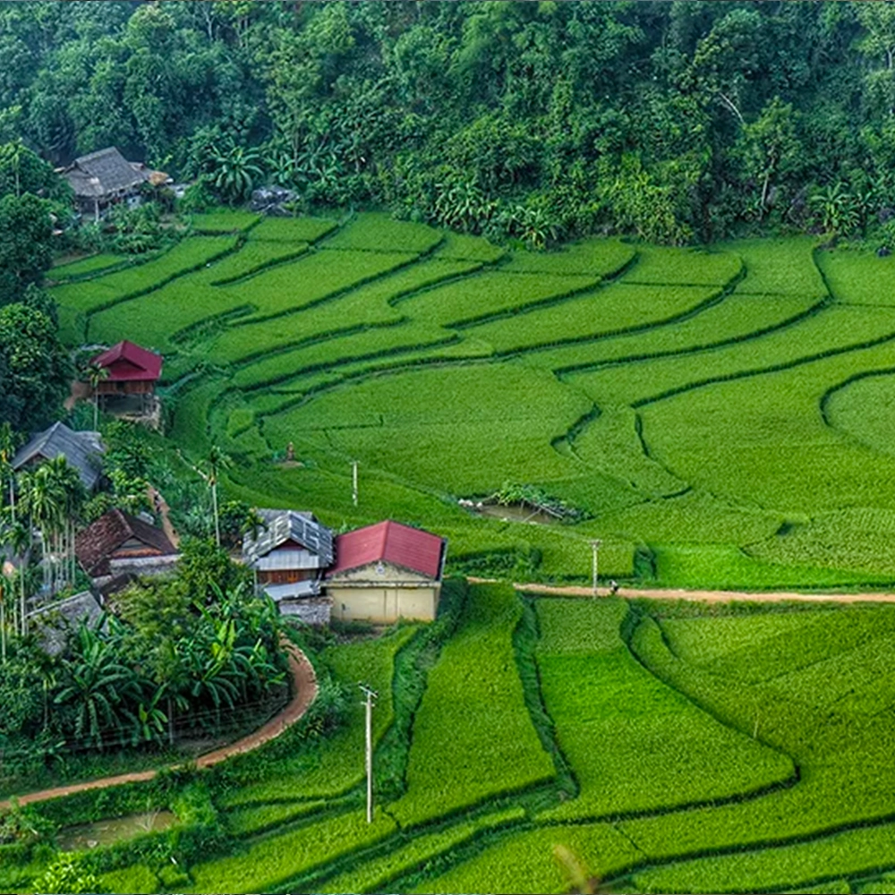 PU LUONG & MAI CHAU