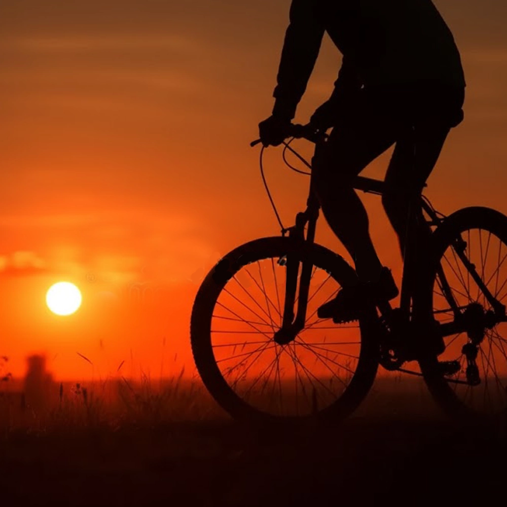 Cycling The Mekong Delta