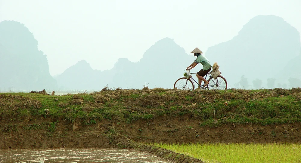 VIETNAM REVERIE