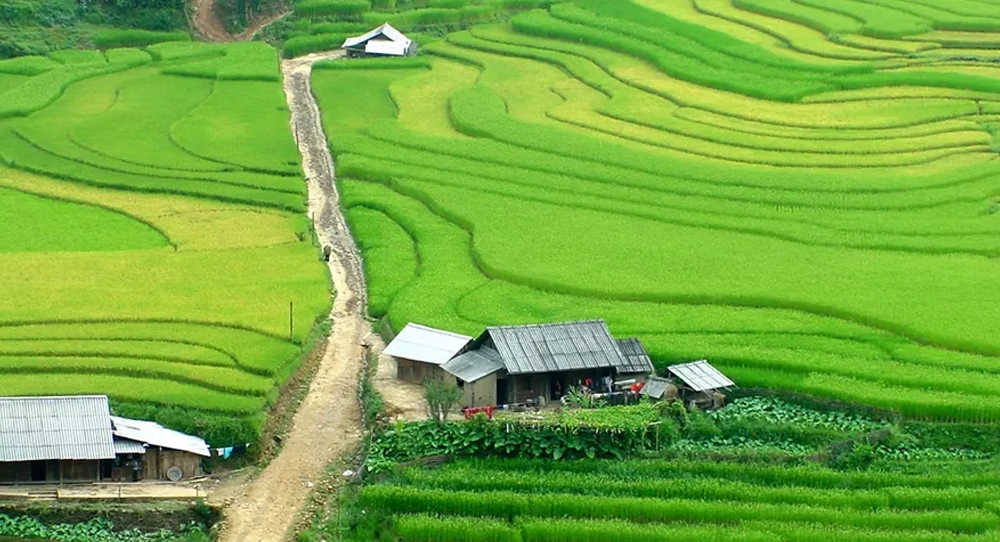 SAPA - A SHORT ESCAPE